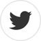 Twitter Social Icon